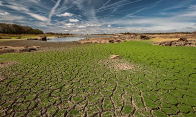 Der Klimawandel ist eine der größten Herausforderungen unserer Zeit und erfordert dringende Maßnahmen auf allen Ebenen der Gesellschaft. Jeder Einzelne von uns trägt eine Verantwortung, unseren Beitrag zum Klimaschutz zu leisten und positive Veränderungen herbeizuführen.