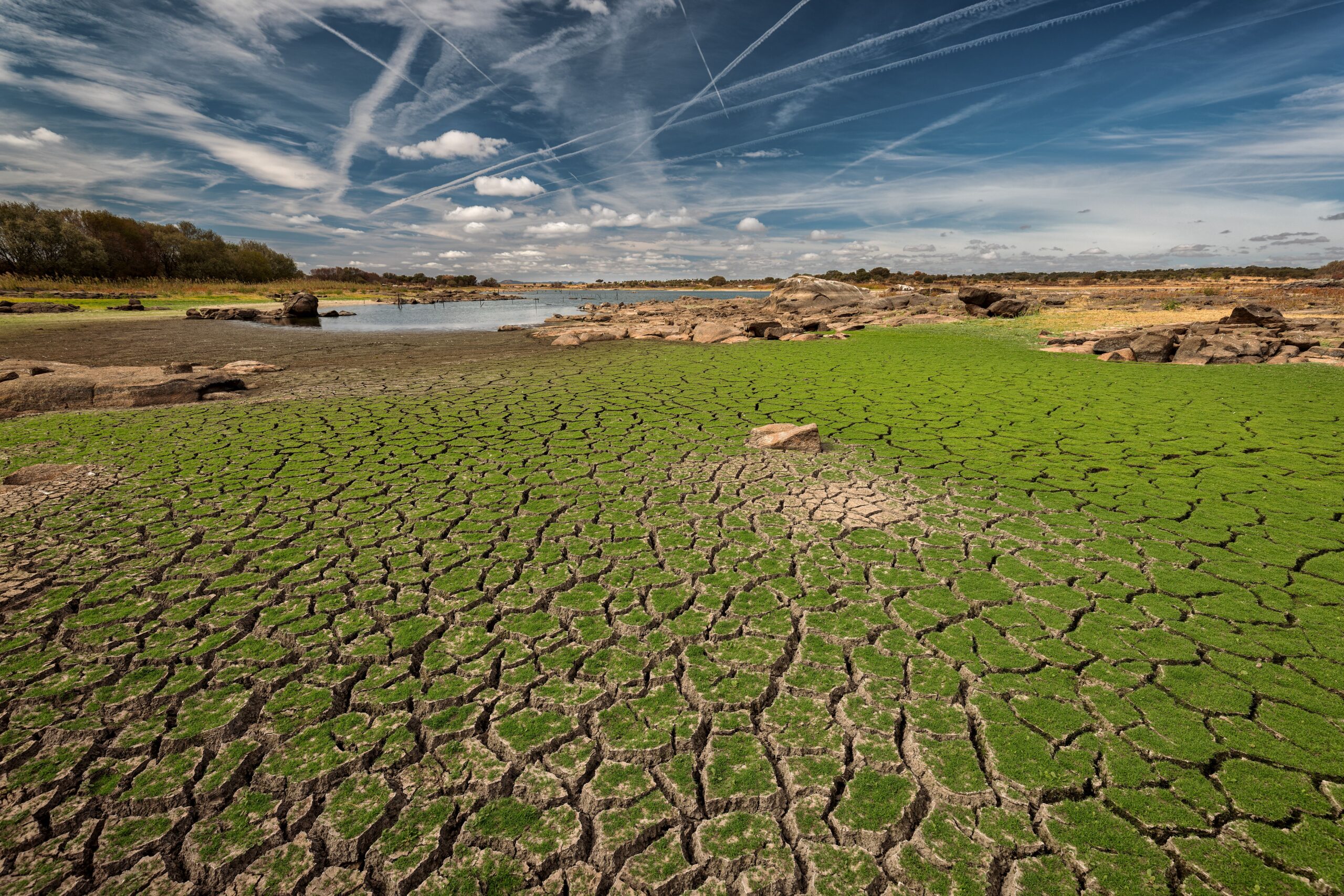 Der Klimawandel ist eine der größten Herausforderungen unserer Zeit und erfordert dringende Maßnahmen auf allen Ebenen der Gesellschaft. Jeder Einzelne von uns trägt eine Verantwortung, unseren Beitrag zum Klimaschutz zu leisten und positive Veränderungen herbeizuführen.